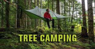 Tree Camping