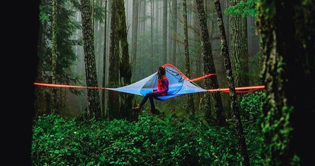 tree camping