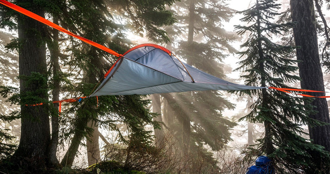 tree camping