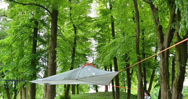 tree camping