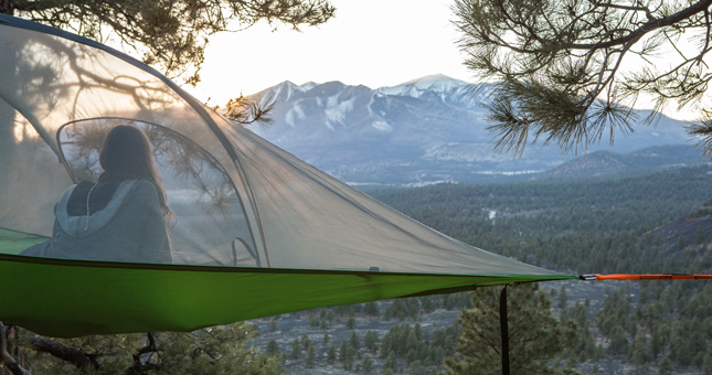 tree camping