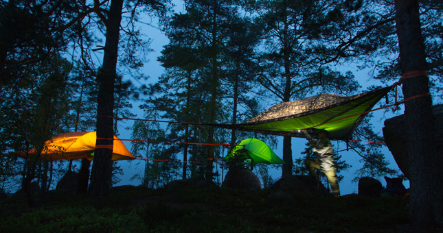 tree camping