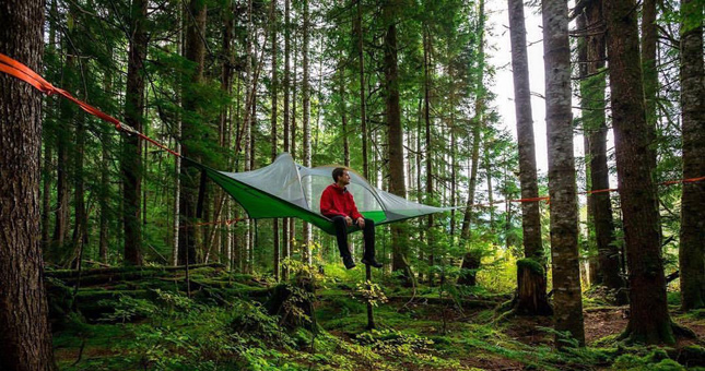 tree camping